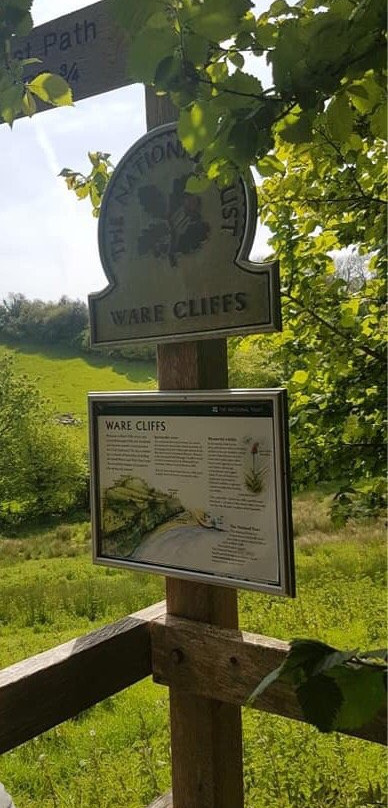 Ware Cliffs-莱姆里杰斯必去景点