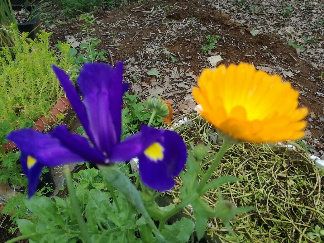 Orto Botanico Arcadia-Grisolia必去景点