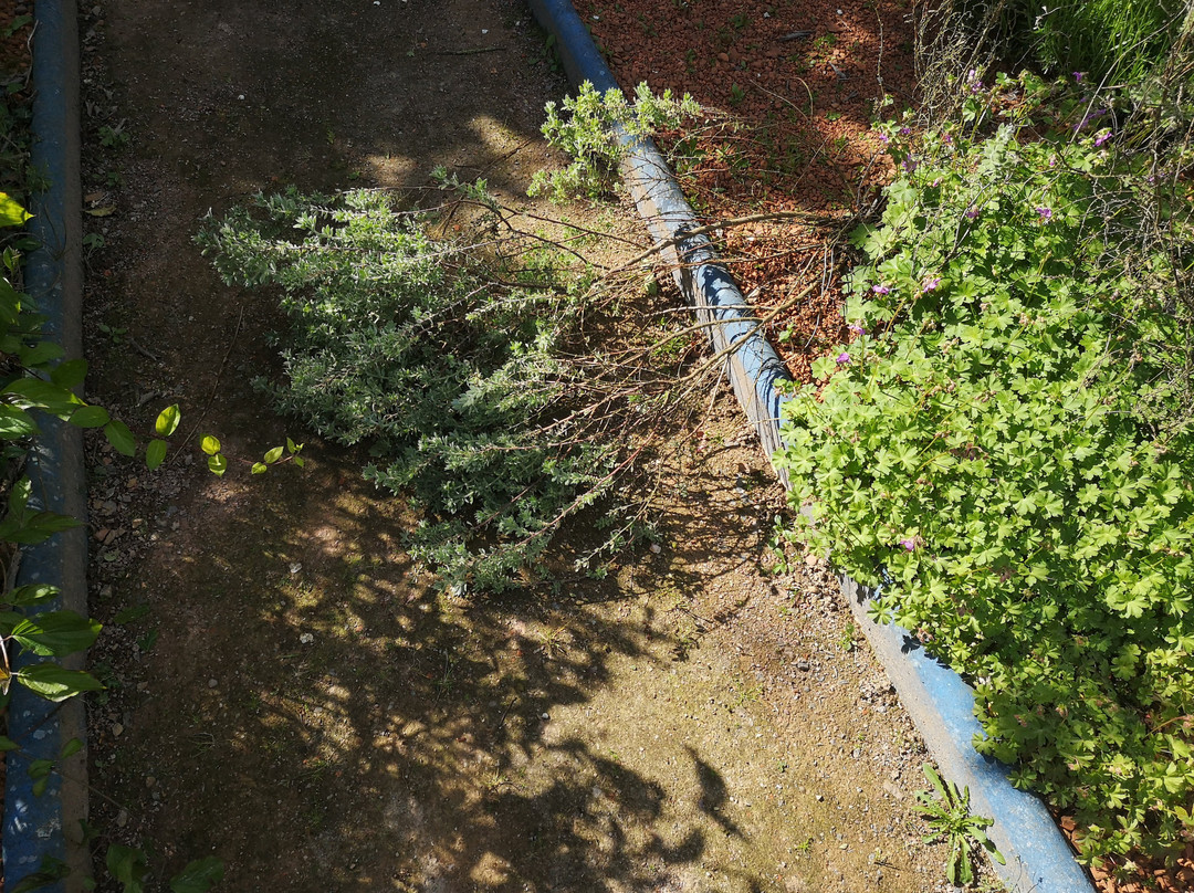 Jardin Marocain-La Chapelle-des-Fougeretz必去景点