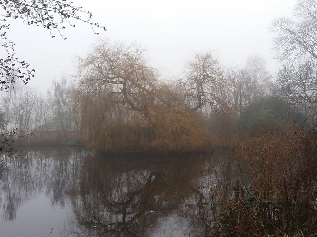 Wells Park景点图片