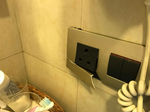 柠檬树斯里纳格酒店主图