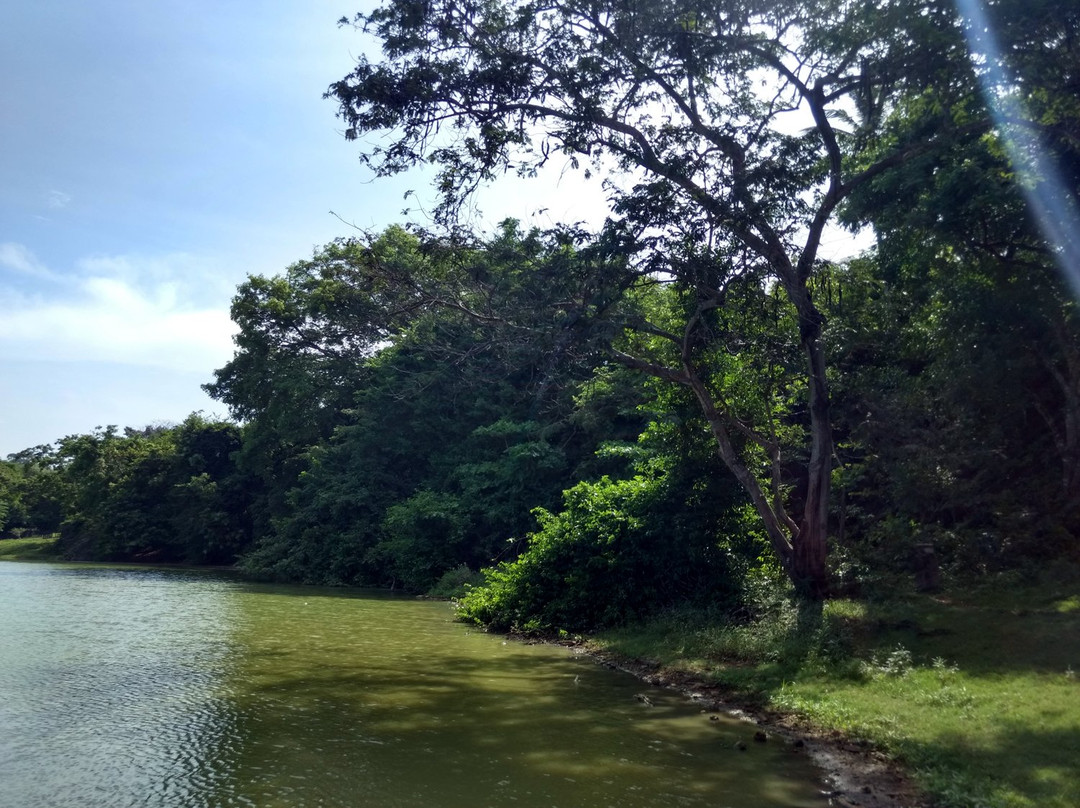Laguna Big Pond景点图片