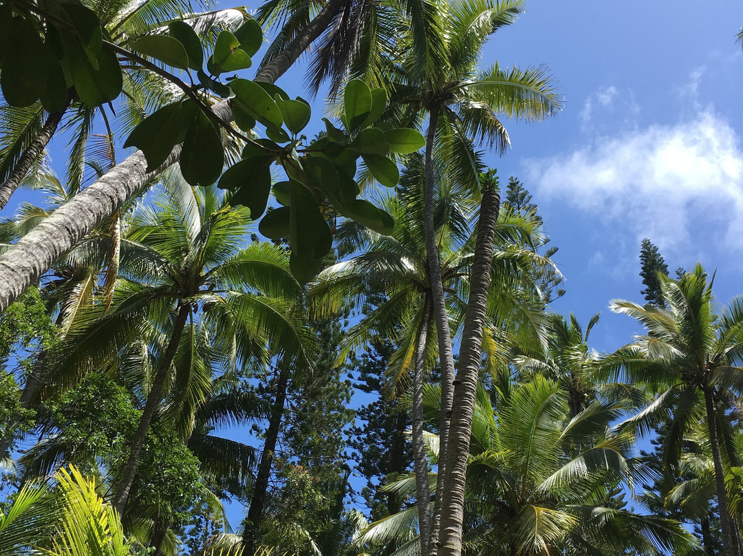 Oro Bay-Ile Des Pins必去景点