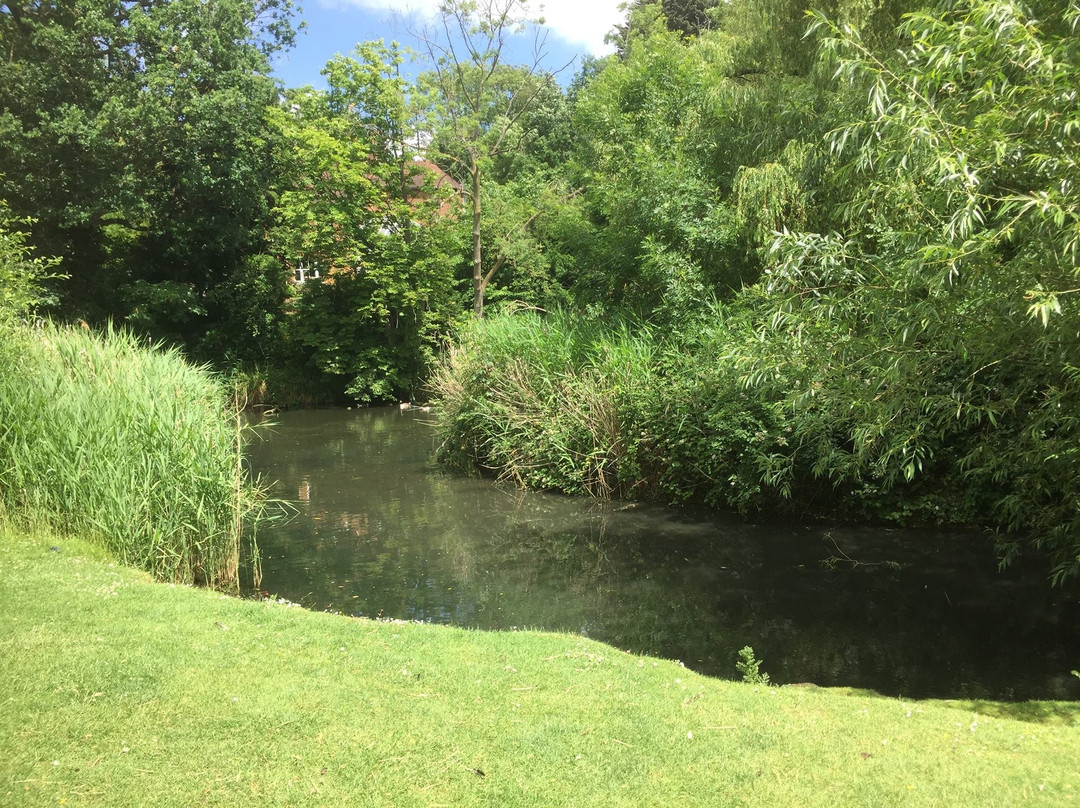 Fishponds Park景点图片