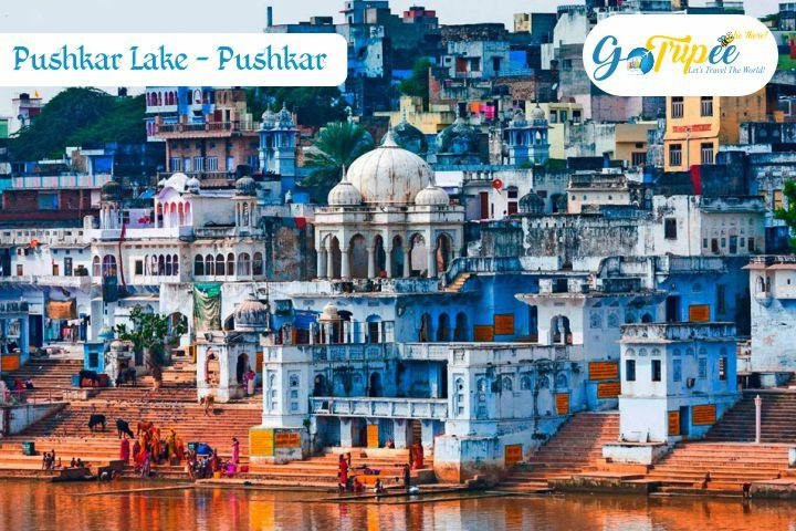Gotripee Tours - India Private Day Tours景点图片