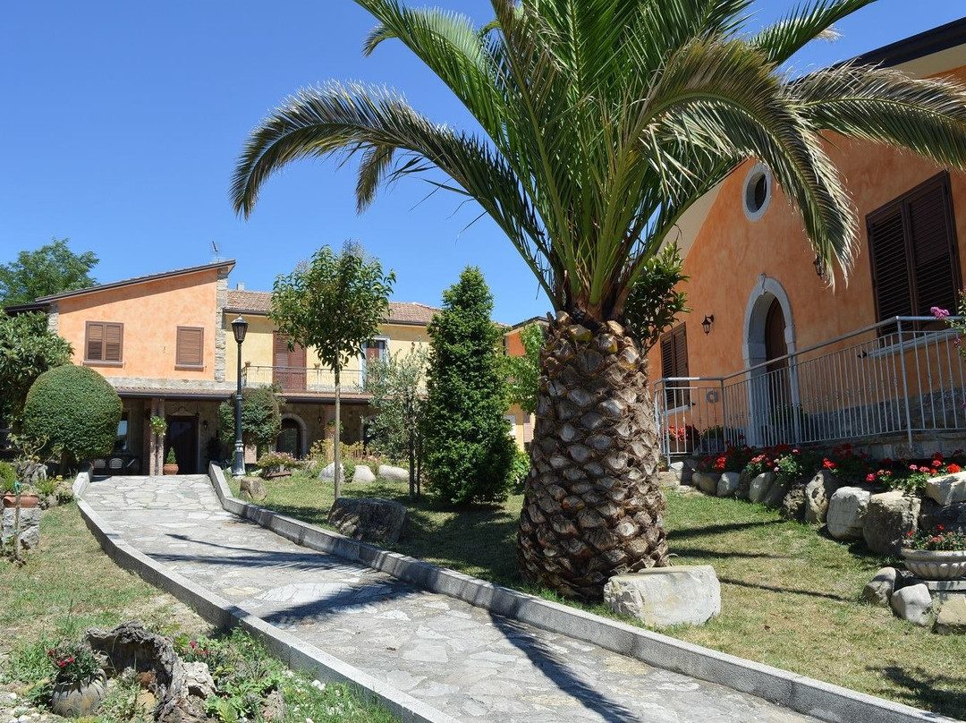 Il Focolare