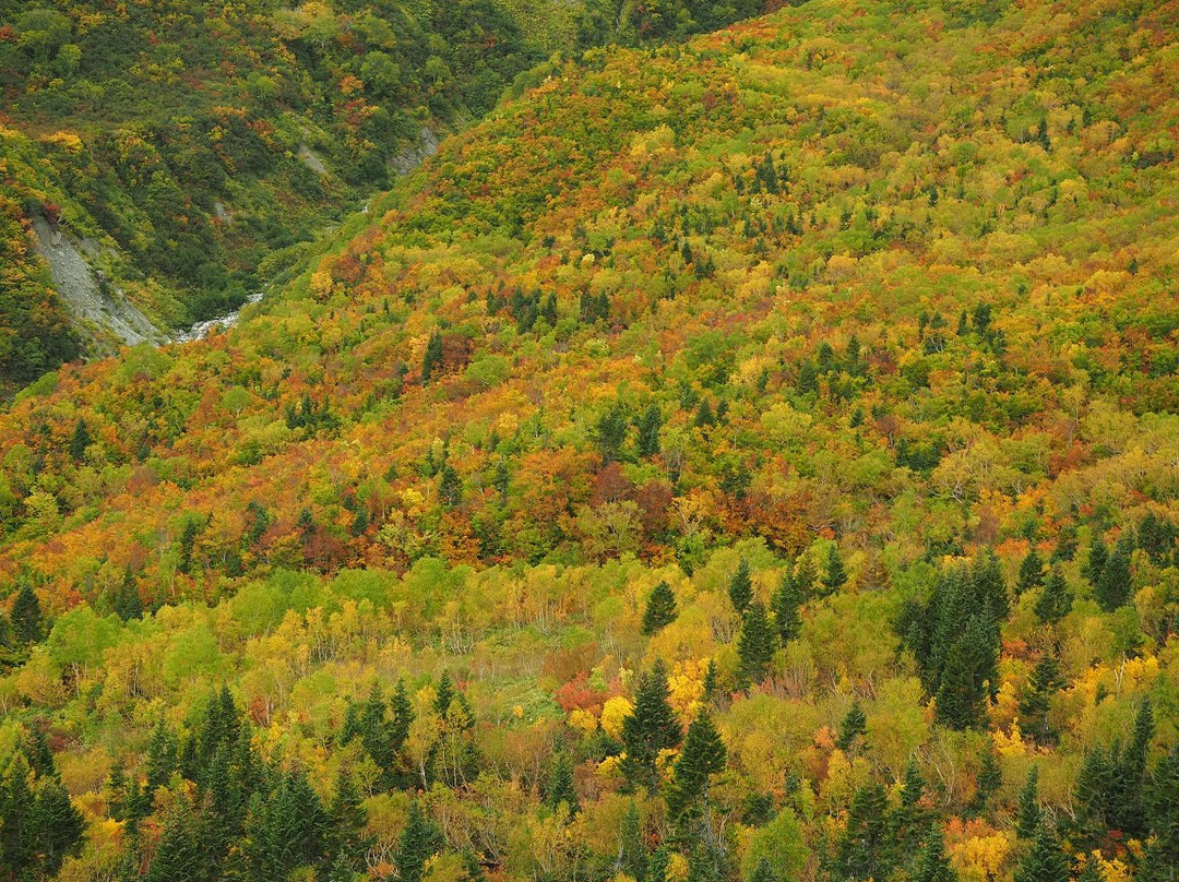 Tanbodaira-立山町必去景点
