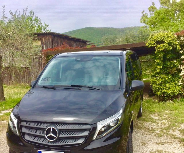 Ciao Italy Tours-维亚雷焦必去景点