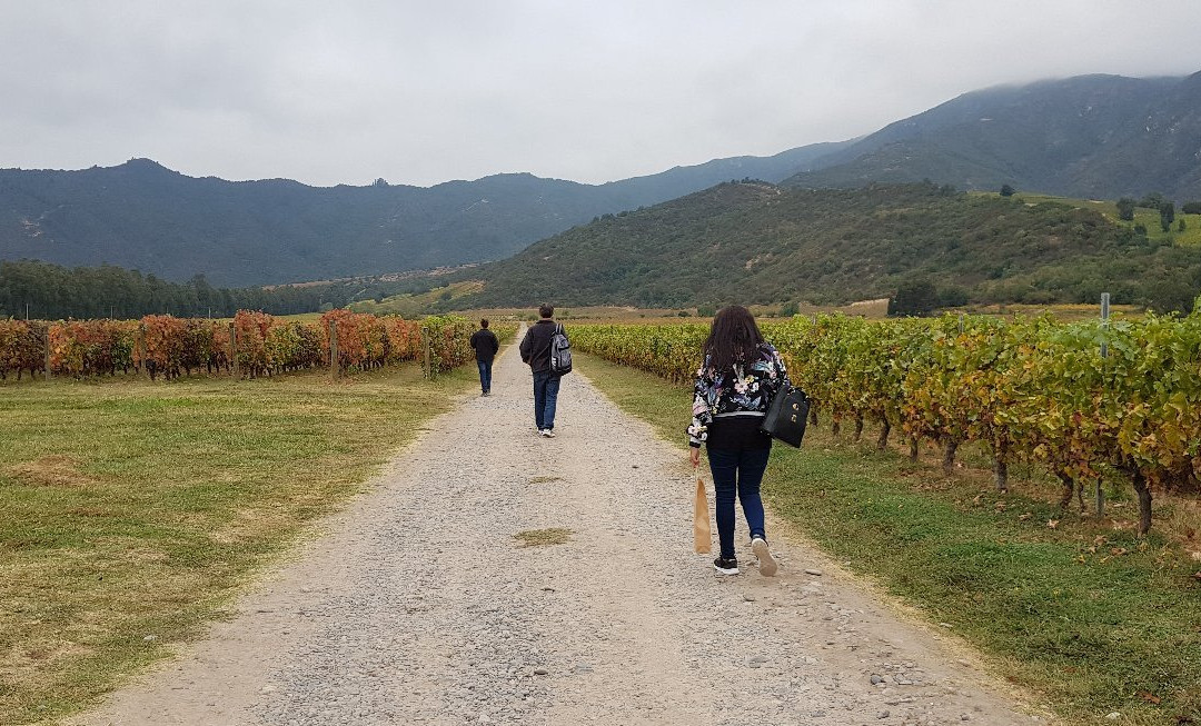 Vina Las Ninas-圣克鲁斯必去景点