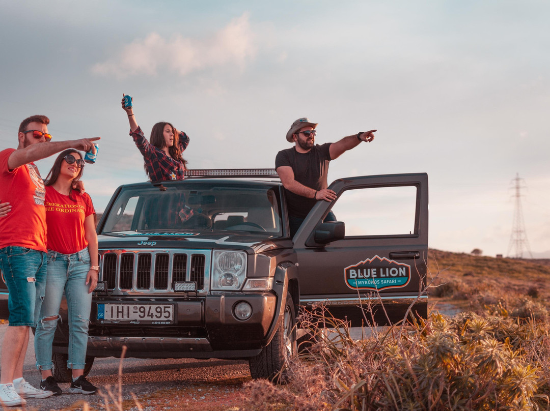 Bluelion Safari-Tourlos必去景点