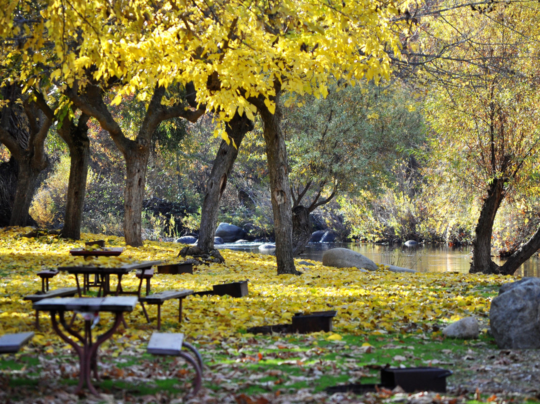 Sequoia Campground & Lodge