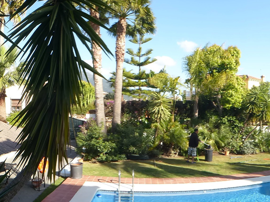 Luzy Las Palmas主图