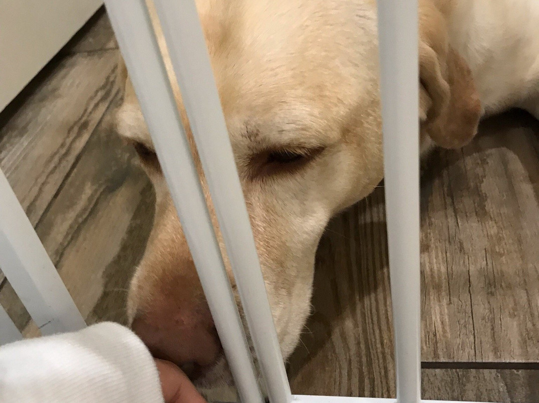 Golden Isles Welcome Center-圣西蒙斯岛必去景点