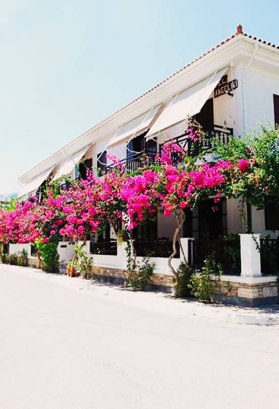 Hotel Angeliki主图