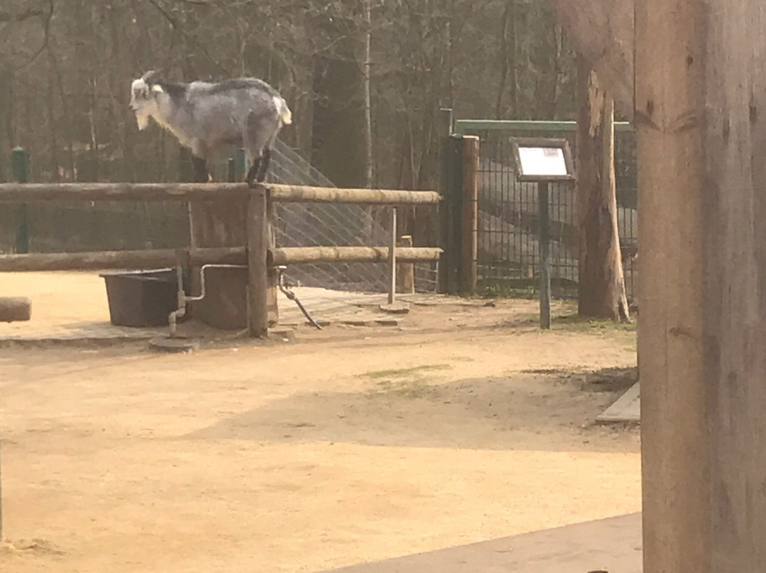 Tierpark Gera-Gera必去景点