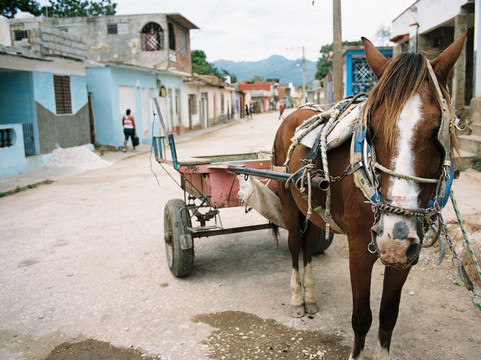 The Educational Adventures Company-杜兰戈必去景点