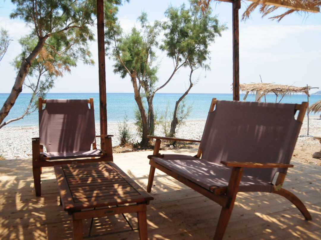 Althea Beachside Apartments