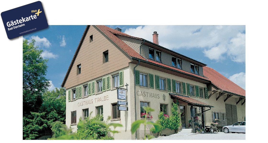 Pension zur Traube-浴室