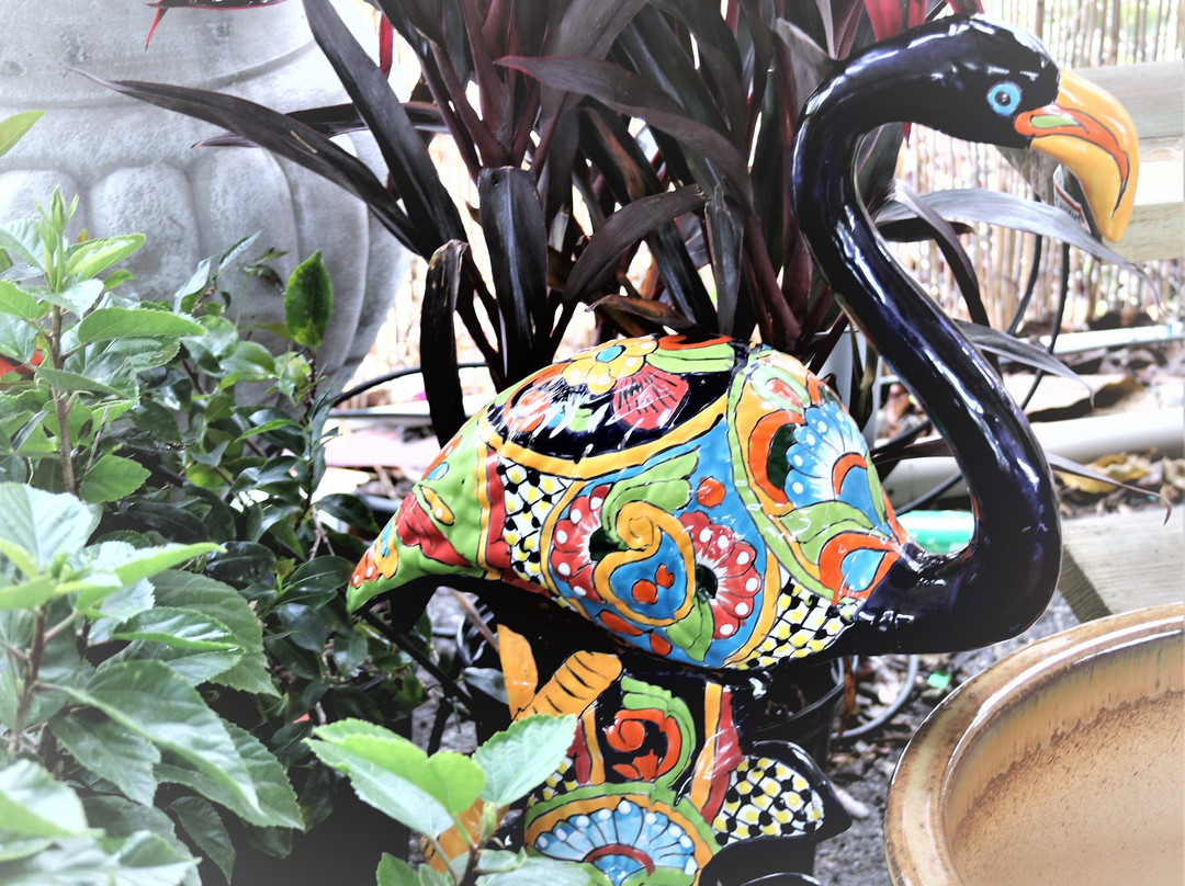 Flamingo Island Flea Market-博尼塔斯普林斯必去景点