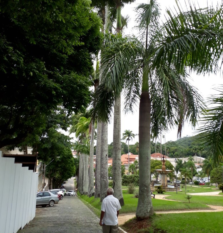 Morro da Vaca景点图片