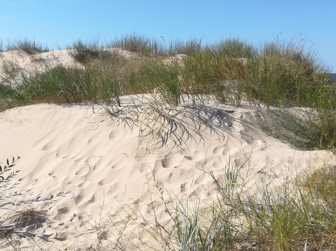 Warszow Beach景点图片