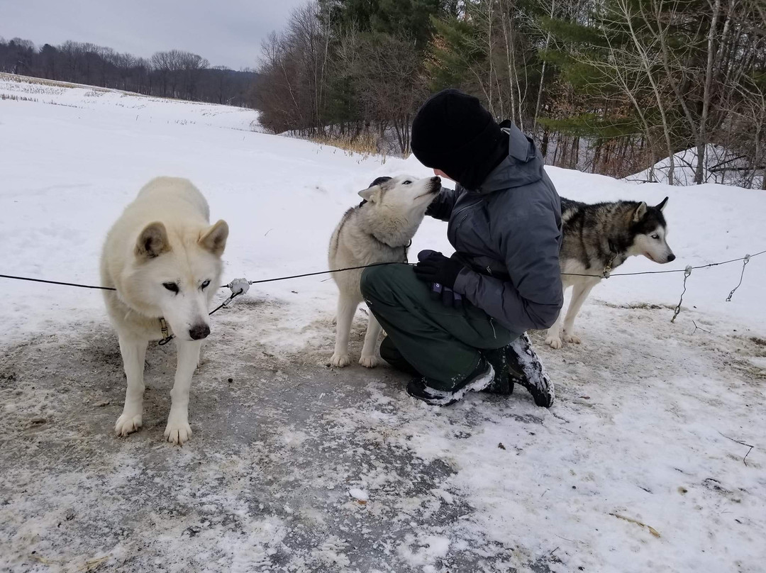 Braeburn Siberians-Windsor必去景点