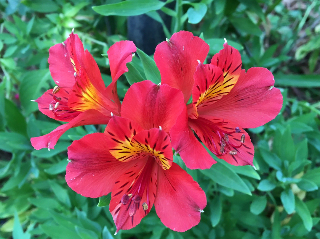 总督府酒店主图