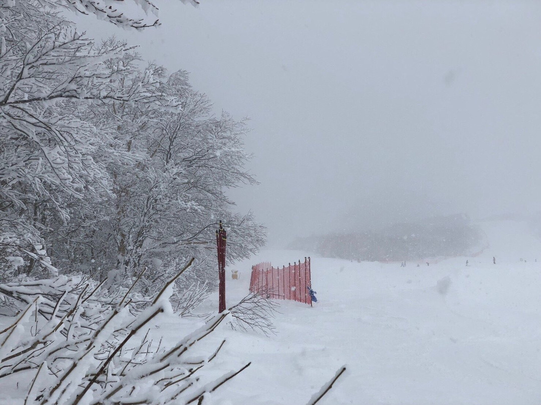 Tazawako Ski Resort-仙北市必去景点