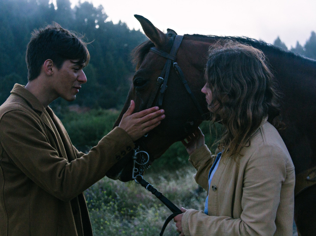 Senda Ecoway-圣克鲁斯-德特内里费必去景点