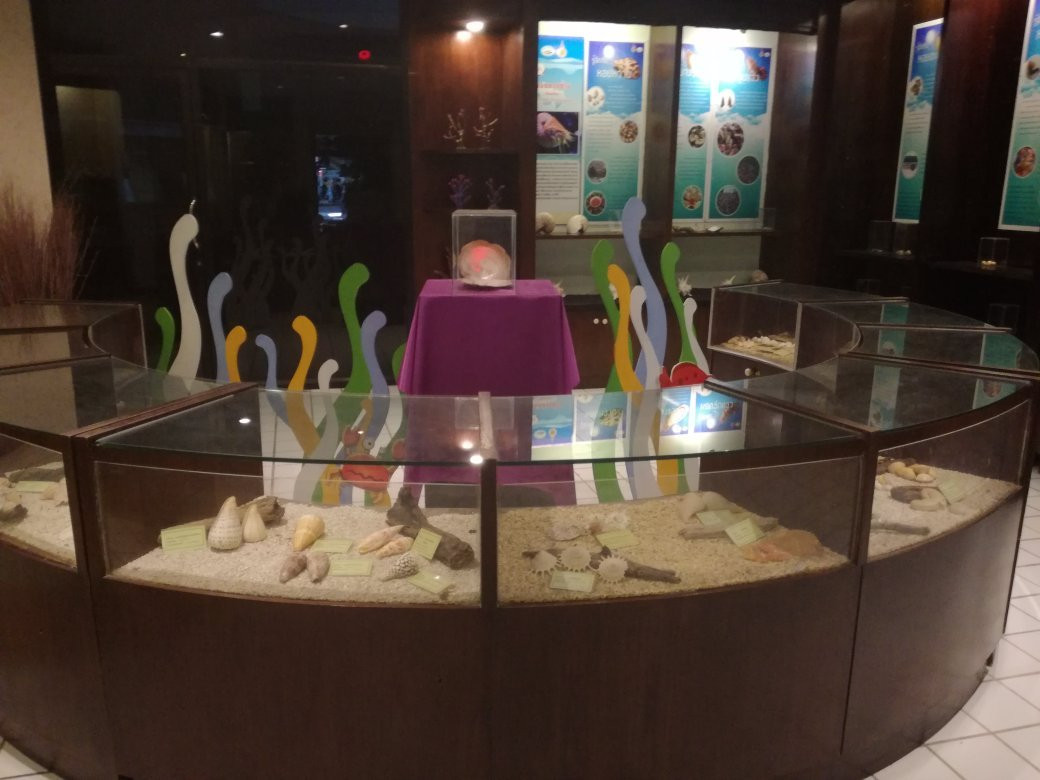 Rajamangkala Aquarium Trang景点图片