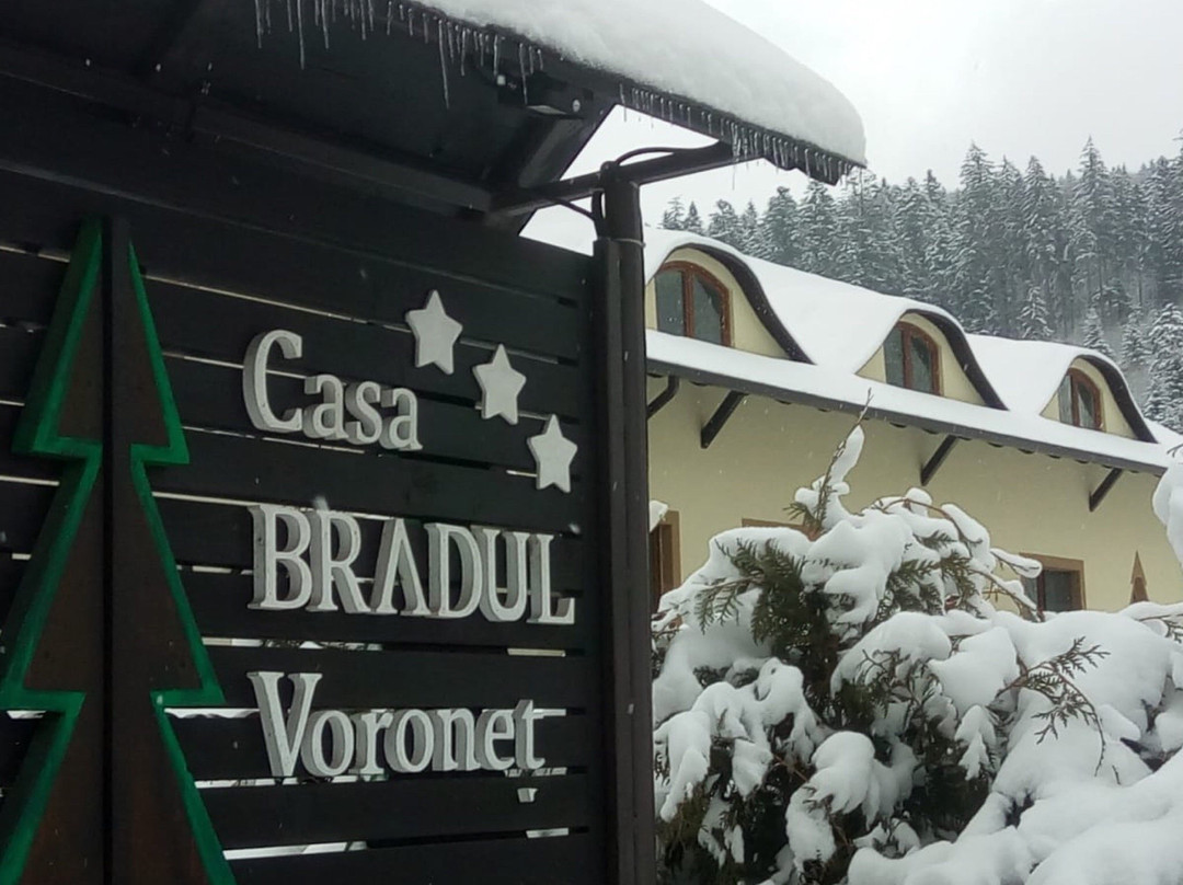 Casa Bradul Voronet