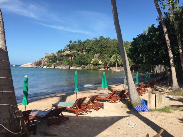 Palm Leaf Resort主图