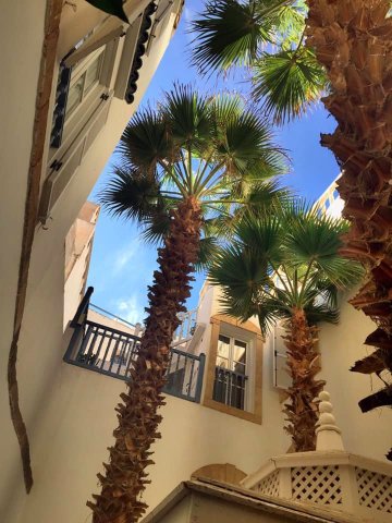 巴拉丁摩洛哥传统庭院住宅-浴室