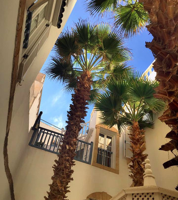 巴拉丁摩洛哥传统庭院住宅主图