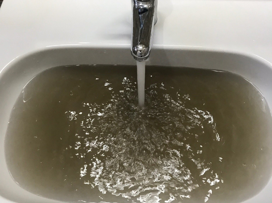 Hôtel Les Palmes d'Or主图