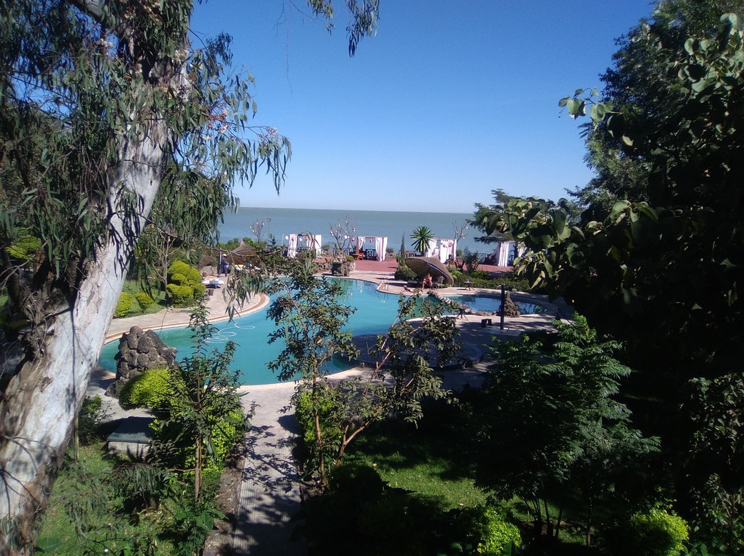 Kuriftu Resort and Spa Bahir Dar主图