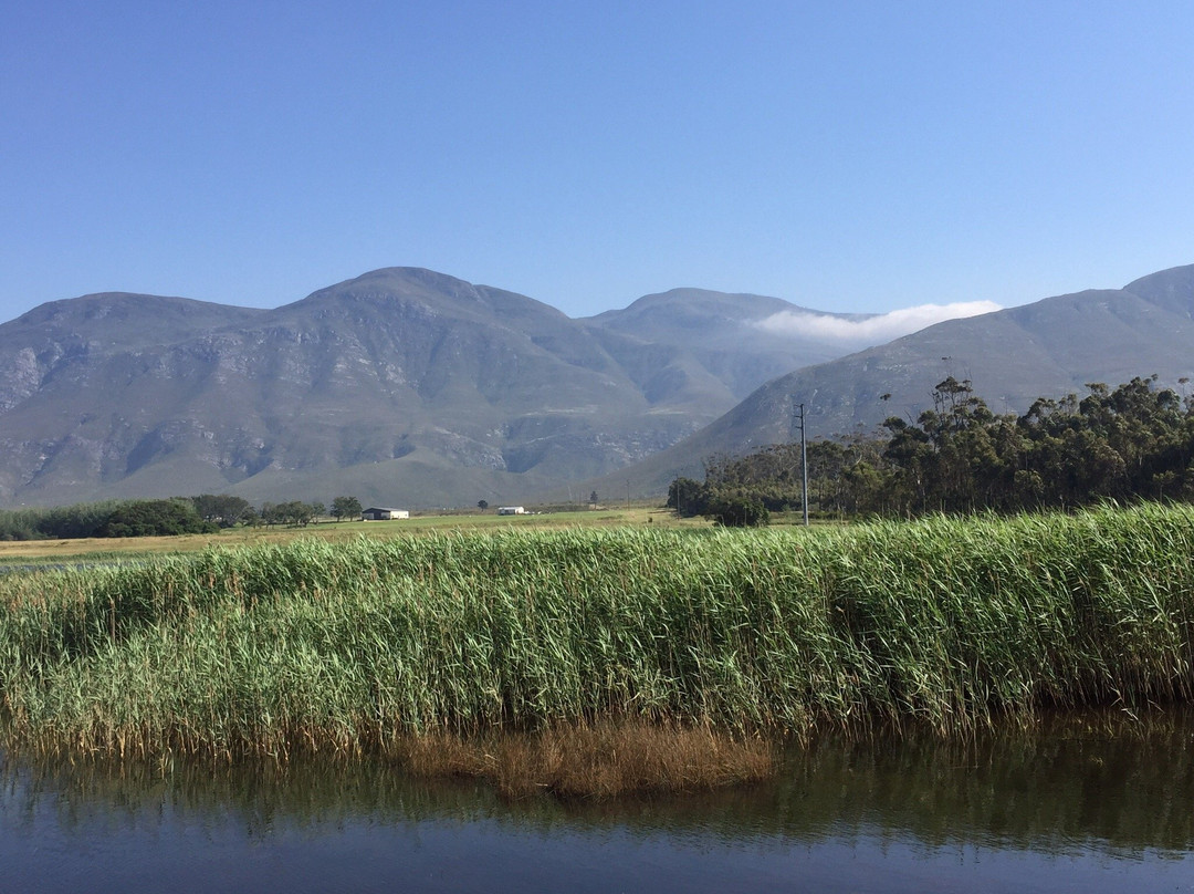 Springfontein Wine Estate主图