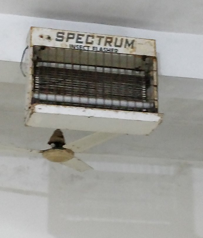 Panthanivas Gopalpur主图