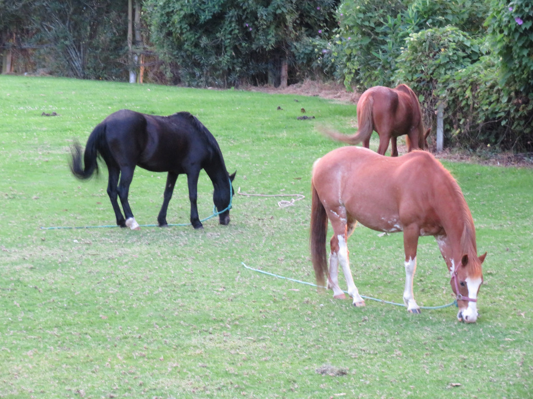 Hacienda Pinsaqui主图