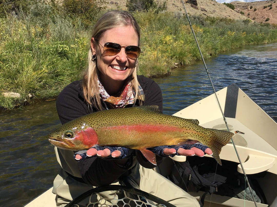 Hotchkiss旅游攻略图片