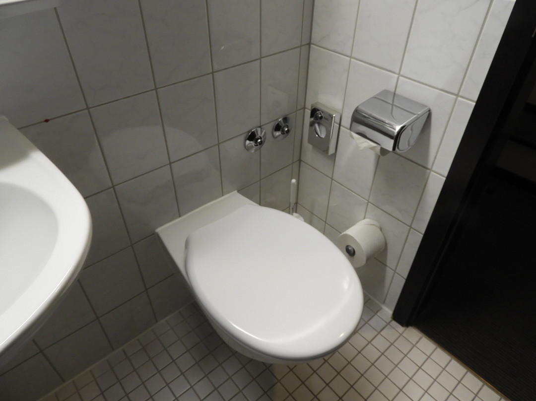 Seminaris Hotel Lüneburg主图