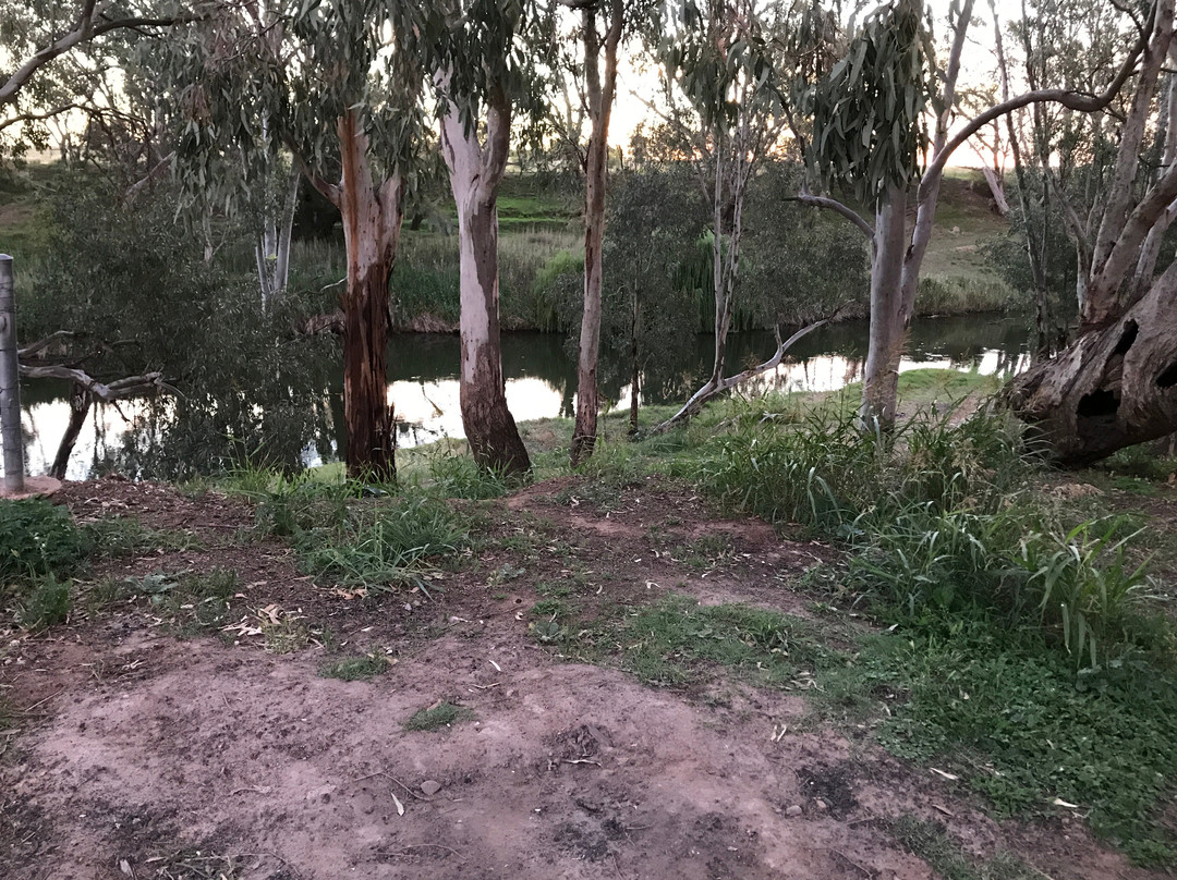 Terramungamine Reserve and Rock Grooves-达博必去景点