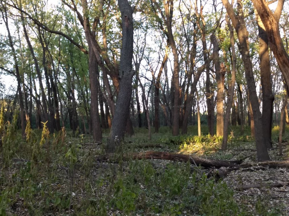 Walnut Woods State Park-西得梅因必去景点