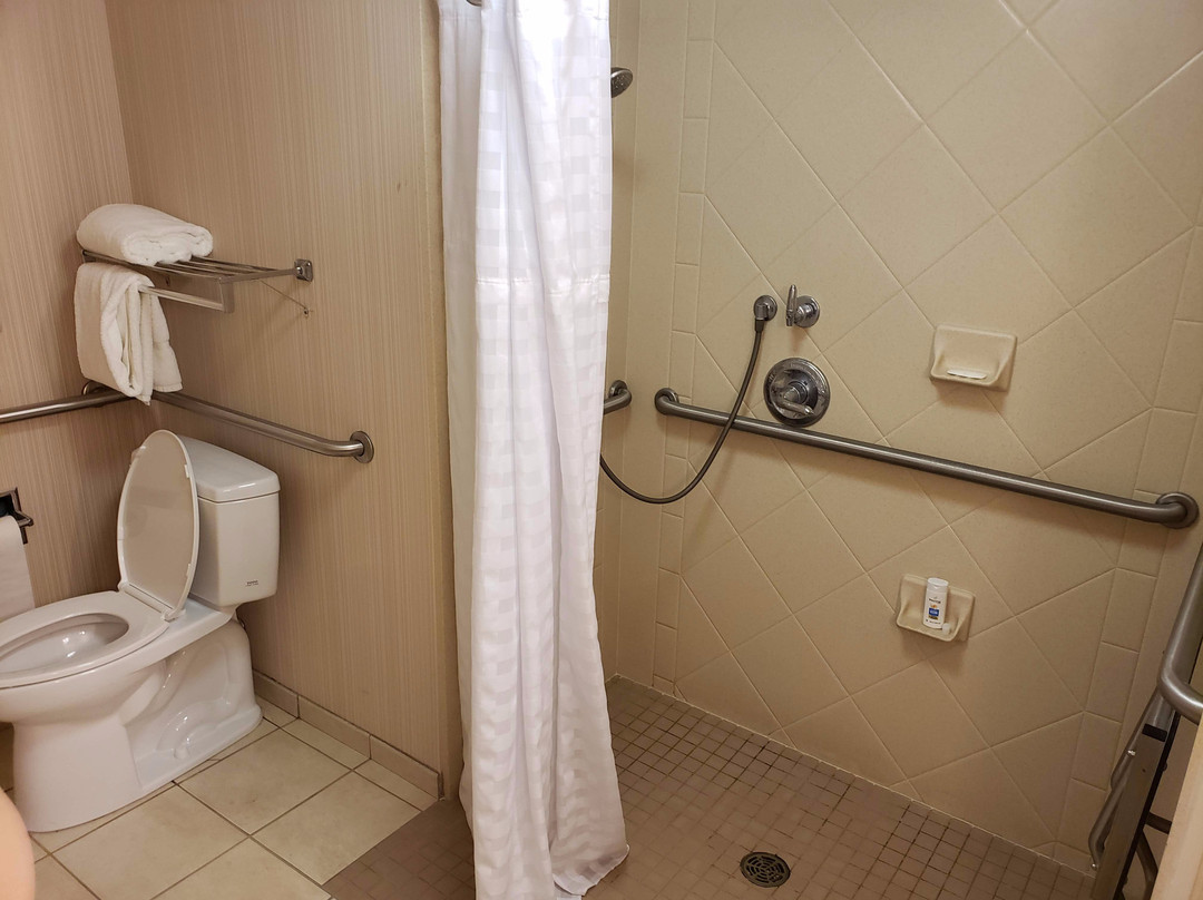 奥尔巴尼希尔顿惠庭套房酒店主图