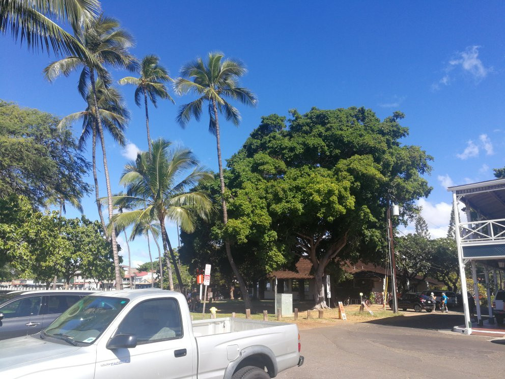 Papalaua Wayside Park景点图片