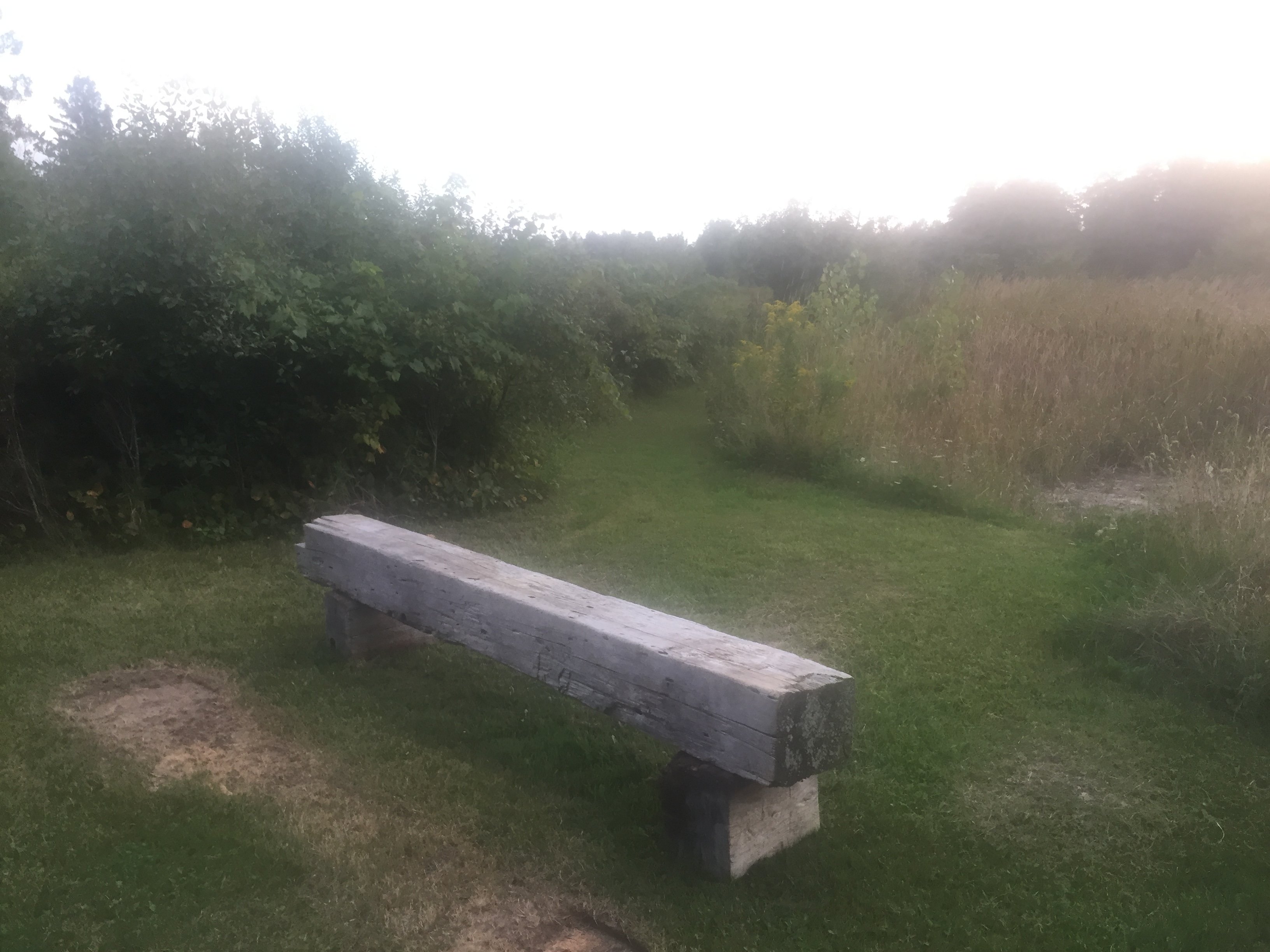 Owl's Nest Suites-家庭/游戏区