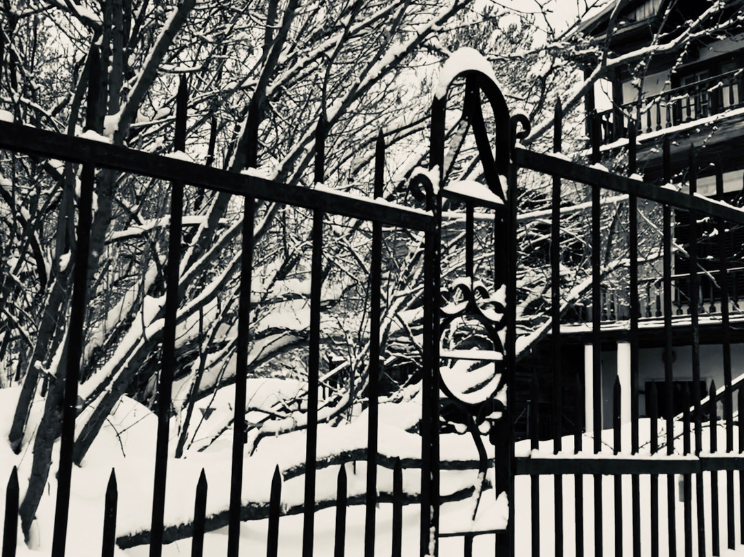 N. Chernyshevskiy's Memorial Estate-萨拉托夫必去景点