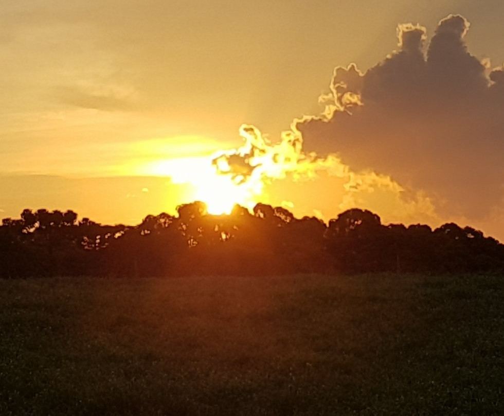 Pousada Bela Vista主图