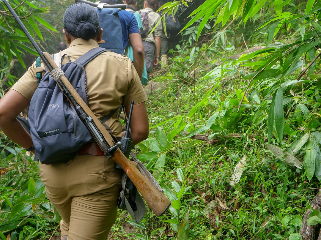 Periyar Tiger Reserve-帖可迪必去景点