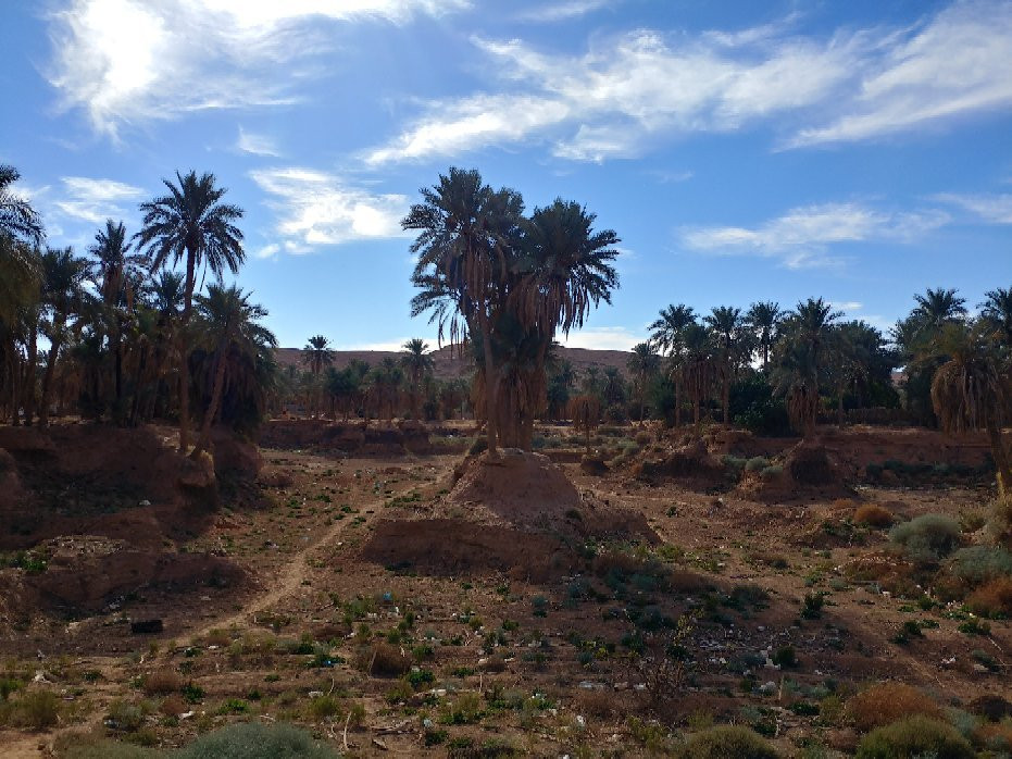 Association d'orientation Touristique de Ghardaia景点图片
